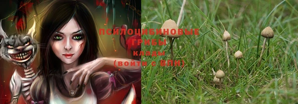 MDMA Premium VHQ Михайловка