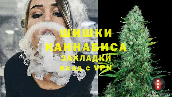 ГАЛЛЮЦИНОГЕННЫЕ ГРИБЫ Медвежьегорск